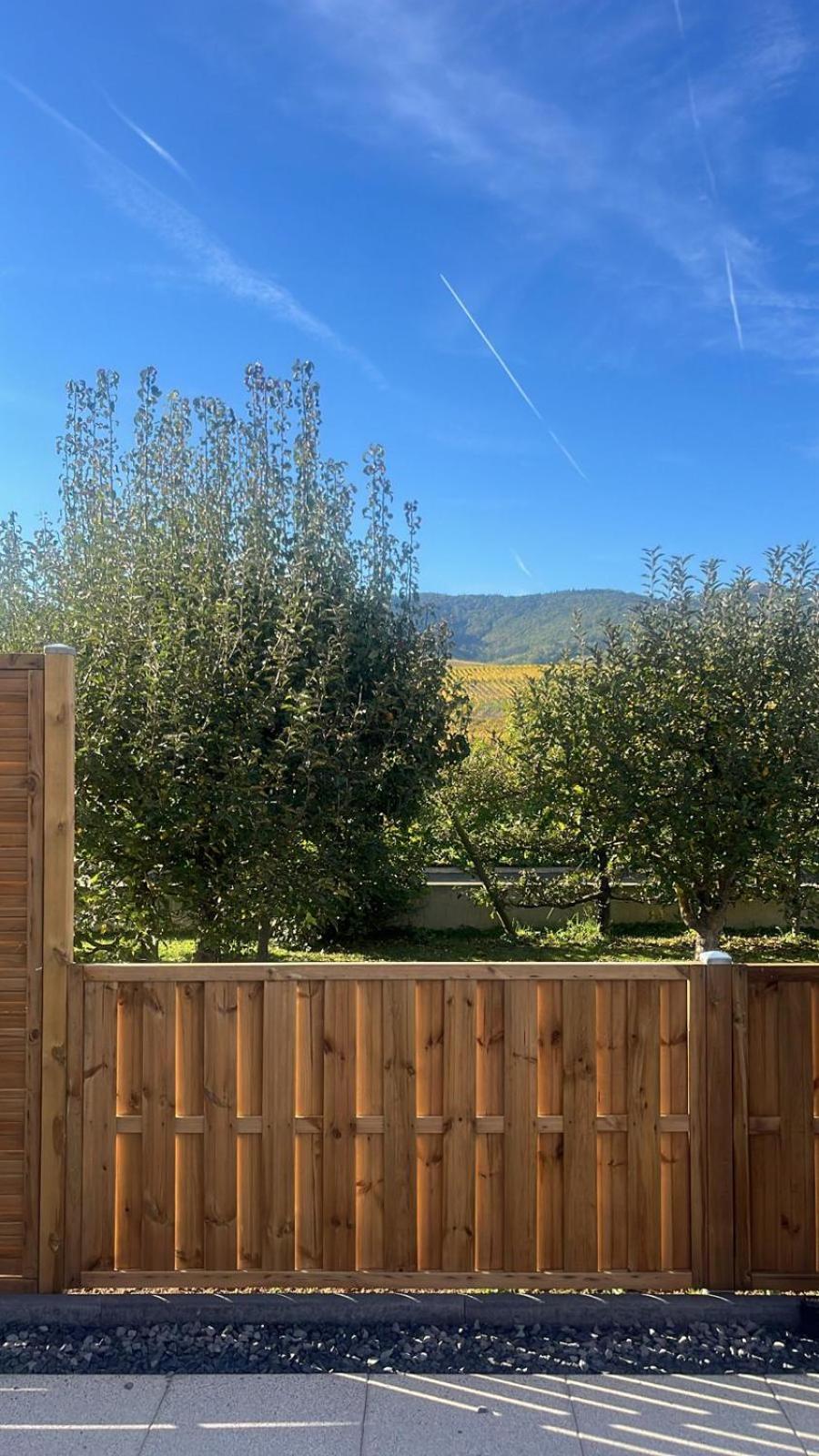 Aux Pieds Des Vignes Eguisheim